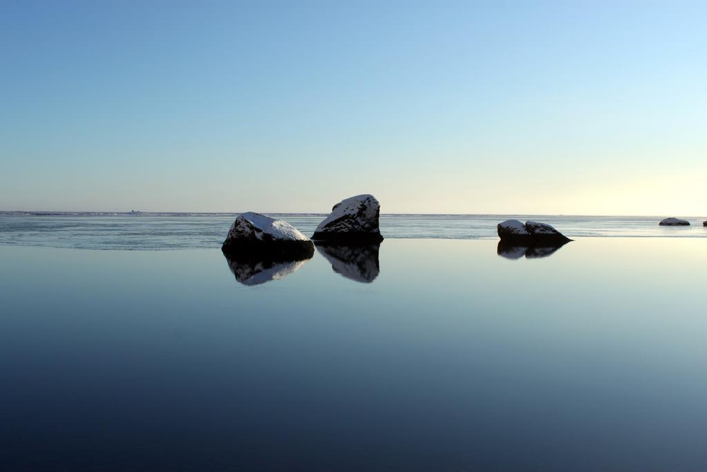 South Iceland Guesthouse Steinar Dış mekan fotoğraf