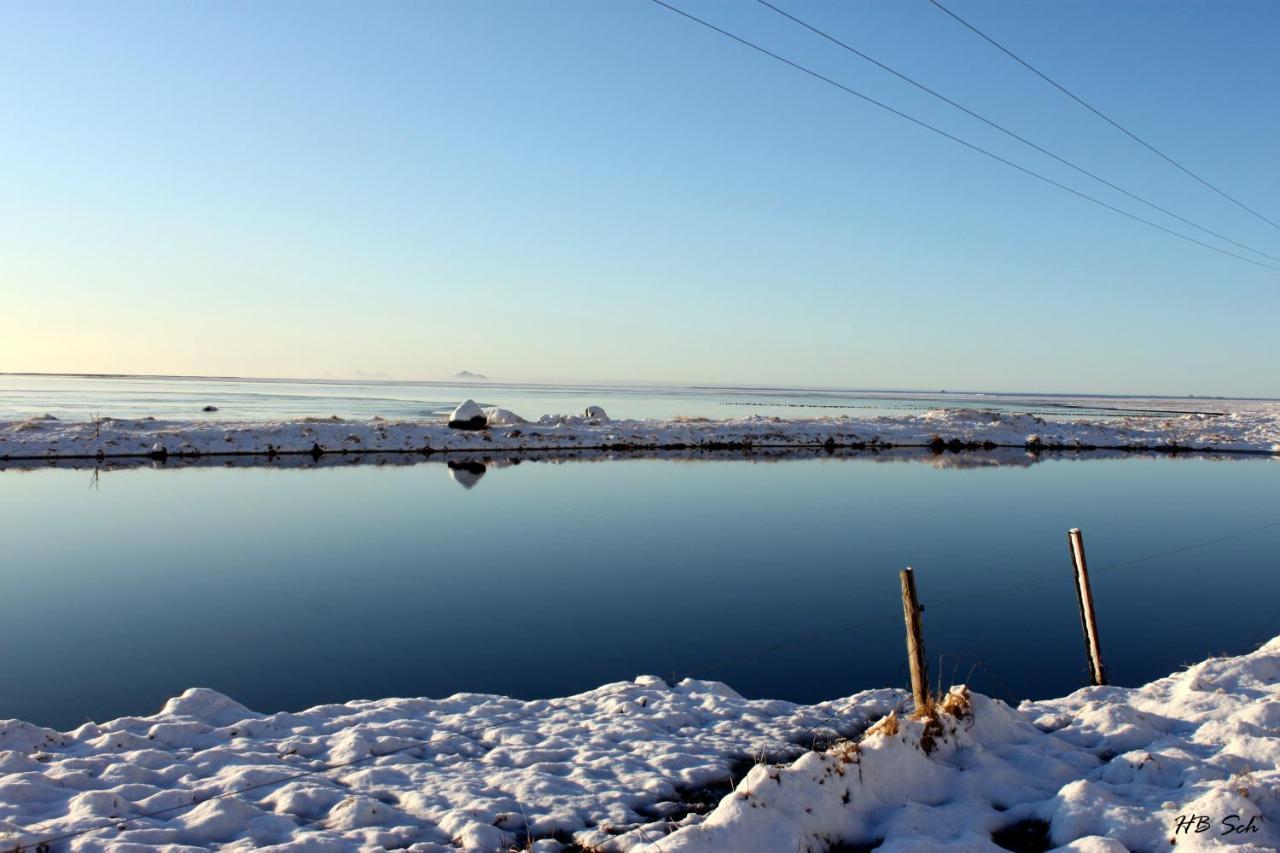 South Iceland Guesthouse Steinar Dış mekan fotoğraf