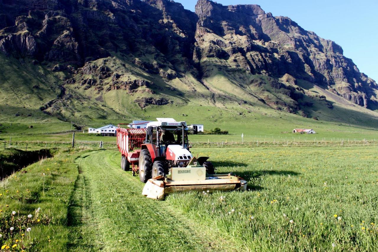 South Iceland Guesthouse Steinar Dış mekan fotoğraf